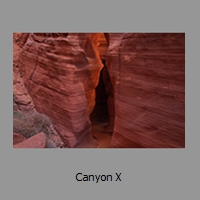 Canyon X